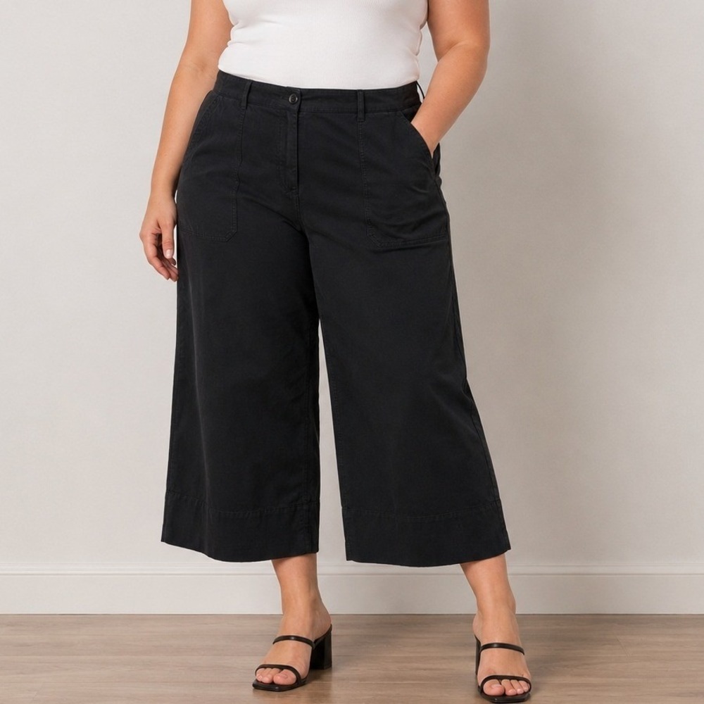 Maeve Anthropologie Wide Leg Pants 24W Black High Rise Trouser